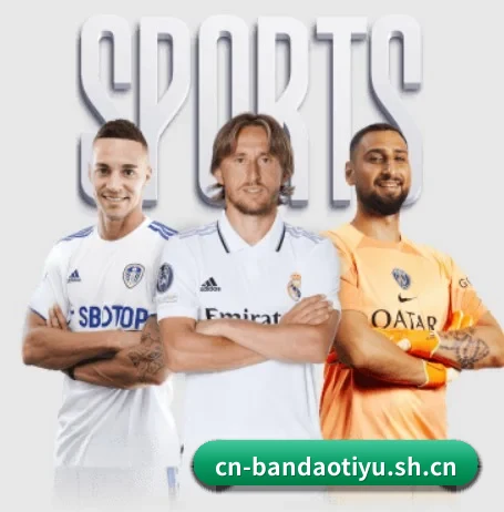 每个板块围绕一个运动项目展开（bandao）