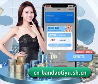 国际化进程（bandao）